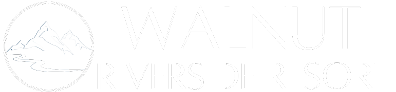 logo-footer