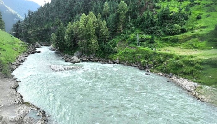 Kaghan Walnut Resort